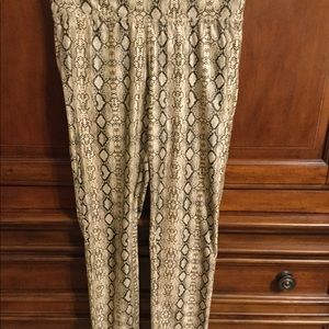 HUE Slacks - Snakeskin Print